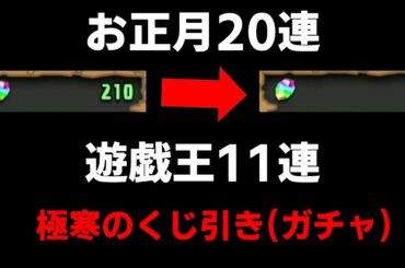 【日の出を待つ】パズドラくじ引き　お正月ガチャ20連、遊戯王コラボガチャ11連