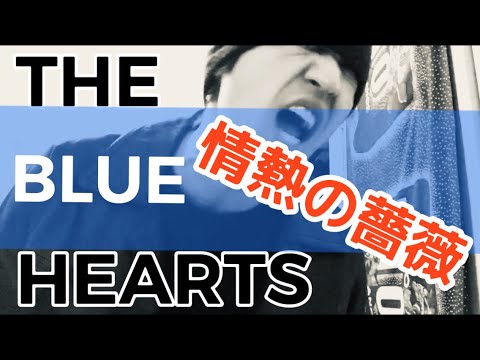 The Blue Hearts 情熱の薔薇 ザ ブルーハーツ アカペラ カバー 歌詞付き Yayafa