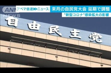 自民党が党大会延期で調整　新型コロナ感染拡大受け(20/02/19)