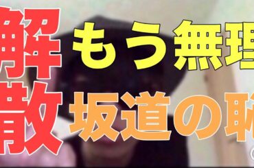 【欅坂46】未来の見えない解散しか道のない某坂道グループに物申す。【日向坂46】【乃木坂46】【平手友梨奈】【鈴本美愉】【織田奈那】【欅って書けない】【上村ひなの】【富田鈴花】