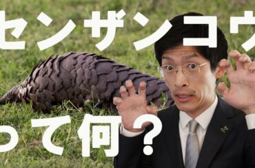 新型コロナウイルスを媒介する！？センザンコウについて解説してみた。