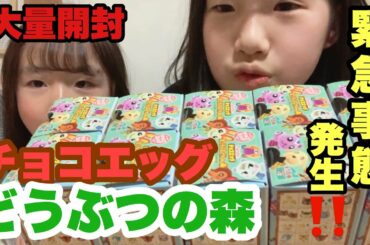 どうぶつの森チョコエッグ　開封したら緊急事態発生…