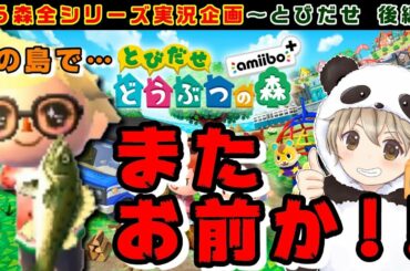 【あつ森発売記念実況】とびだせ どうぶつの森 amiibo+ 後編 南の島で魚釣り…って「またお前か！」【発売日までに過去作全制覇！】