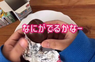 どうぶつの森のチョコエッグなにがでるかなぁぁ☺️