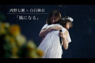 【乃木坂46 MAD】西野七瀬 × 白石麻衣 「風になる」