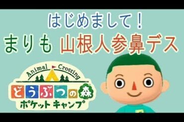 まりも山根人参鼻のどうぶつの森ポケットキャンプ実況プレイ