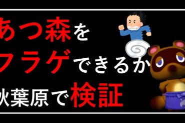 【検証】あつ森はフラゲできるのか？｜あつまれどうぶつの森（あつ森）