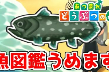 【あつまれどうぶつの森】博物館を完成さなきゃ人が来ない！ 1【あつ森】