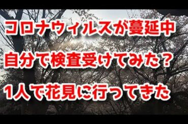 #70【2020年花見】コロナの中、阿部寛さんと大蛇丸の声マネしながらお花見してみた［声真似】