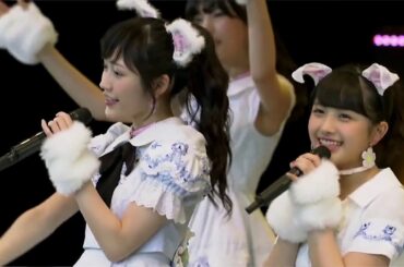 AKB48- Labrador Retriever (stage mix)