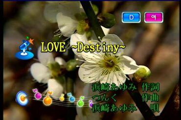 浜崎あゆみ (하마사키 아유미) - LOVE〜Destiny〜 (KY 42201) 노래방 カラオケ