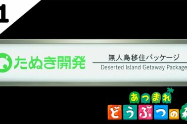 【あつ森】2回目の無人島生活。【あつまれ どうぶつの森】