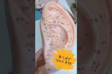 沖縄からお伝えするカンタン♫コロナウィルスに負けない肺機能免疫 UPの耳つぼ