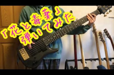 花と毒薬 /  桜井日奈子【bass cover】