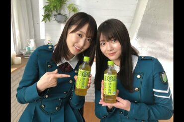 【欅坂46】田村保乃、菅井友香サントリー緑茶伊右衛門の悪魔のおにぎりの品評広告のエピソード