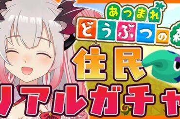 【あつまれ どうぶつの森】リアル住民ガチャ！パトラがほしいだなも！【周防パトラ / ハニスト】