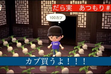 「ついに株買うよ〜」だら実『あつまれ どうぶつの森』＃６