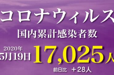 新型コロナウィルス、5月19日の感染者数  21時