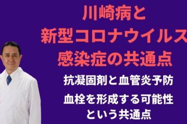 川崎病と新型コロナウイルス感染症の共通点－血管炎予防と血栓を形成する可能性について／岐阜大学 抗酸化研究部門 特任教授 犬房春彦（医師・医学博士）