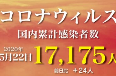 新型コロナウィルス、5月22日の感染者数  21時