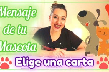 🐾TAROT MASCOTAS🐾 El Mensaje de tu Mascota 🌈✨TAROT INTERACTIVO ✨🌈 ELIGE UNA CARTA