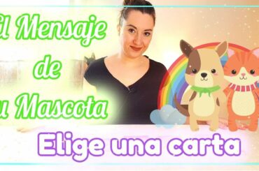 🐾 EL MENSAJE DE TU MASCOTA🐾 Tarot Interactivo ✨ Tarot Mascotas 🌈 NANAMI TAROT