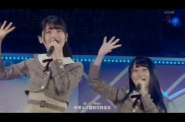 乃木坂46 ハルジオンが咲く頃 ４期生ver 7th year birthday live×【2倍速】中文字幕