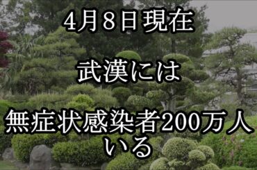 4月8日現在 武漢には無症状感染者 200万人いる 第46回 2020年4月　水間条項TVより