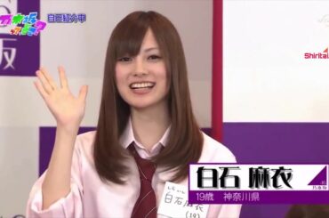 Spesial Nogizaka46 Shiraishi Mai (白石 麻衣) Dish- NEKO