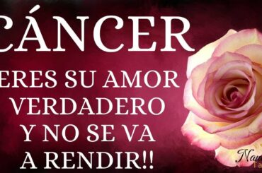 CÁNCER 💕💞 ERES SU AMOR VERDADERO Y NO SE VA A RENDIR!!