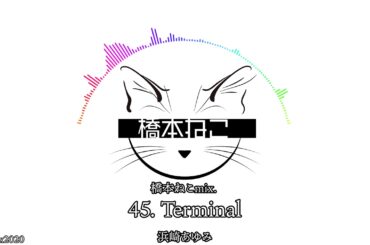 45. Terminal / 浜崎あゆみ【ayuクリエイターチャレンジ】橋本ねこmix.