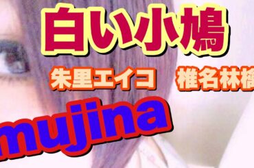 白い小鳩(朱里エイコ,椎名林檎) / mujina