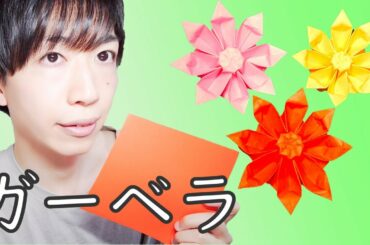 【ガーベラ】新しい生活様式には折り紙を(Gerbera)★★★☆☆