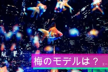 NHK朝ドラ「エール」関内梅（森七菜）のモデルは実在するの？😀感想BGM