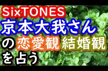 【占い】SixTONES　京本大我さんの恋愛観、結婚観を占う