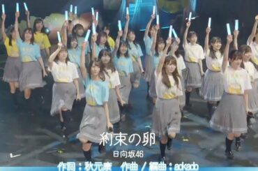 約束の卵 日向坂46 [x2] LiveOnlineYESwithYOU