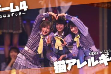 [ MIX ] 猫アレルギー || Neko Allergy - AKB48 [チーム4 Ver.]