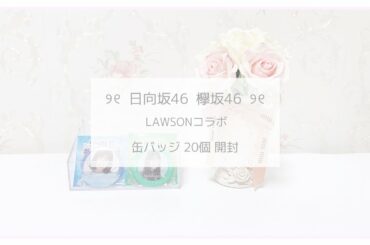 ୨୧⌇日向坂46 欅坂46 LAWSONコラボ 缶バッジ 20個開封⌇