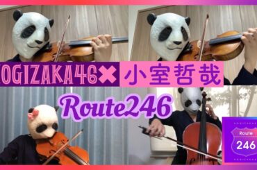 Route246 / 乃木坂46 （バイオリン、チェロ、ビオラ）弦楽四重奏で弾いてみた！