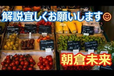 【朝倉未来】格闘技、詳しい方。解説宜しくお願いします☺【矢地祐介vs朝倉未来】