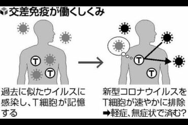 ✅  新型コロナウイルスに感染して重症になる人もいれば、無症状で済む人もいます。なぜ症状に差が出るのかは不明で、世界で注目されている研究テーマです。 新型コロナは昨年末、最初に中国で感染が広がりました