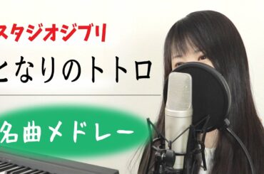 【となりのトトロ】「風のとおり道 〜 さんぽ」など名曲メドレー（スタジオジブリ / by Macro Stereo & Elmon）