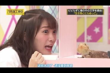 乃木坂46 乃木坂工事中 2020 Episode 43 + 44 Full Show 乃木坂46 2020年08月17日