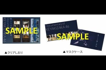 ✅  欅坂46のドキュメンタリー「僕たちの嘘と真実 Documentary of 欅坂46」のグッズ付き前売り券が、Loppi限定で販売される。