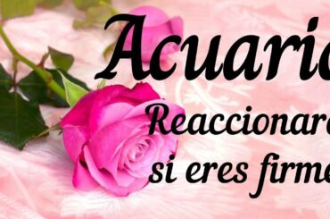 ACUARIO ♒ REACCIONARÁ SI ERES FIRME 💕 Tarot Almas y Llamas Gemelas