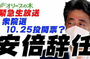 【緊急生放送】安倍総理辞任の意向！10月25日衆院選・投開票！？次期総理は誰だ？自民党総裁選はやる？【コロナ, 麻生太郎, 岸田文雄, 石破茂, 河野太郎, 西村, 民主党, オリンピック】