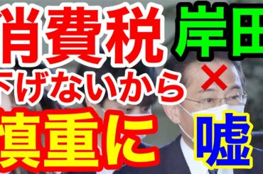 ポスト安倍★岸田文雄 消費減税は慎重に！心では下げないよ