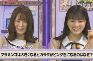 dTVチャンネル ! 乃木坂46 山崎怜奈、大園桃子「乃木坂46山崎怜奈とおはつちゃん」2020.08.29