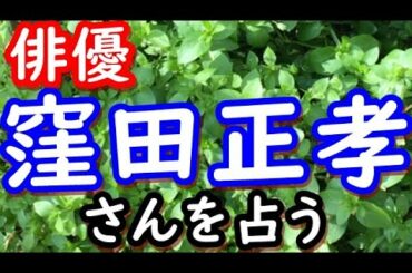 【占い】窪田正孝さんを占う