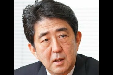 ✅  歴代総理の胆力「安倍晋三（第1次）」（2）修羅場経験なしのツケ